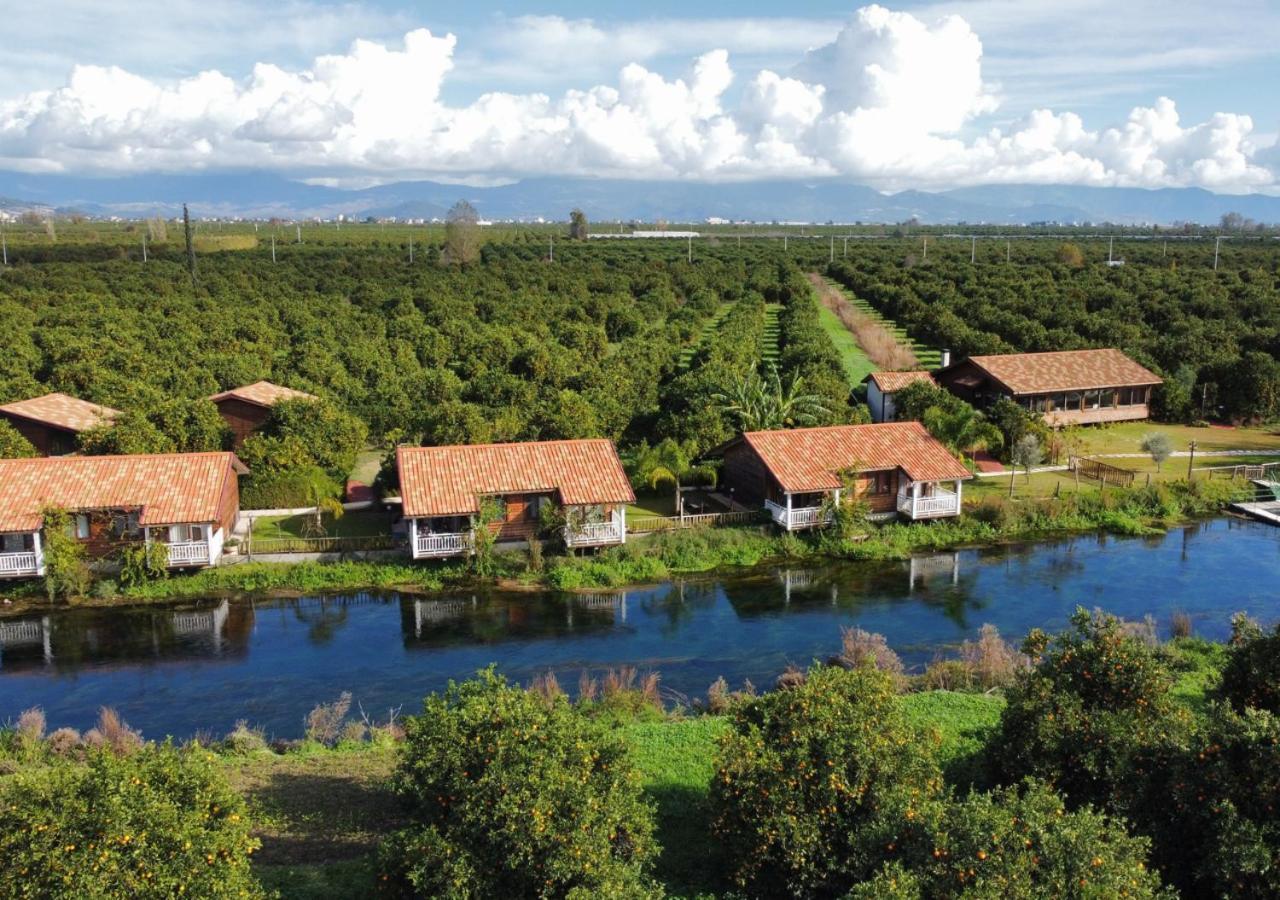 Turkuazkoey Guest House Финике Екстериор снимка